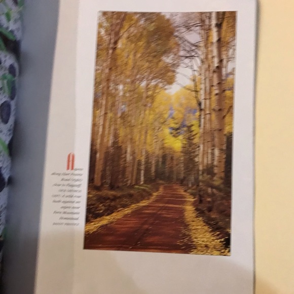 VINTAGE Arizona Highways Magazine October 1992 - Picture 6 of 6